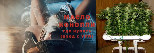 гидра Карпинск
