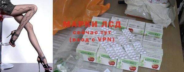 гидра Карпинск