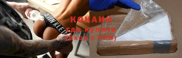 гидра Карпинск