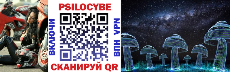 купить закладку  Киржач  Галлюциногенные грибы мухоморы 