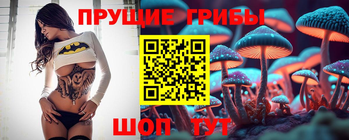 Галлюциногенные грибы Psilocybine cubensis Киржач