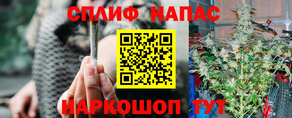 Каннабис план Киржач